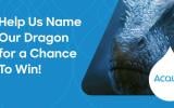 Name the Dragon