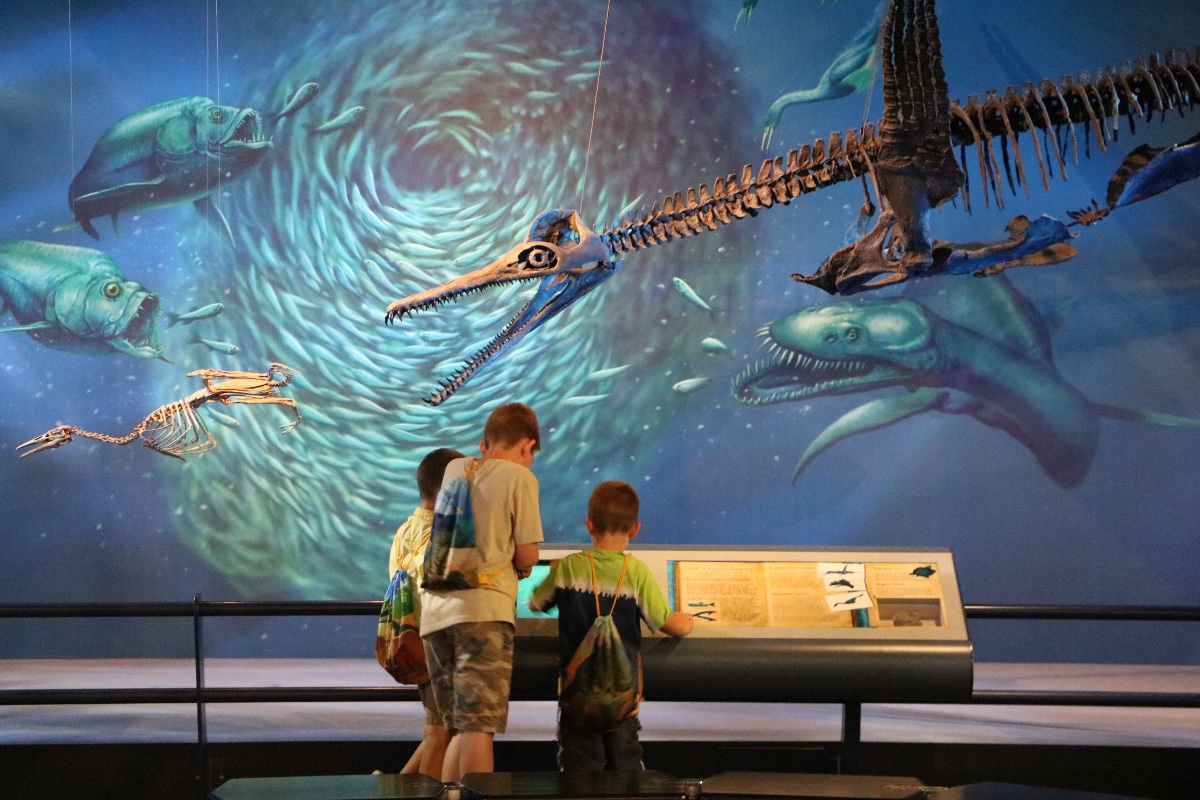 Carnegie Museum of Natural History