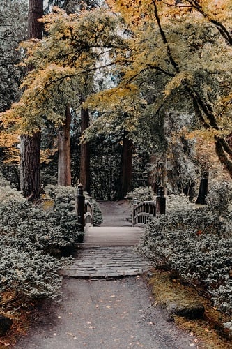 Japanese Garden at Portland