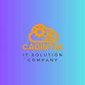 Cadintek .io