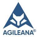 Agileana