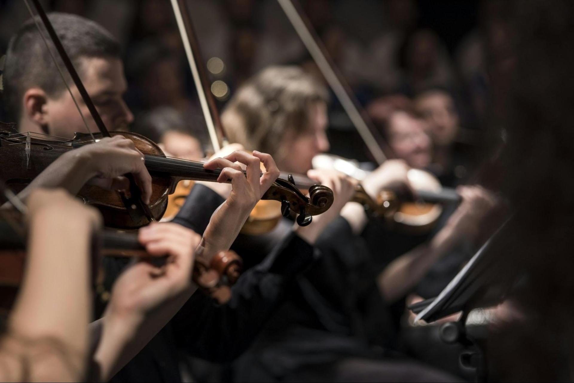 Orchestra playing Orchestra playing, mostly violins in close up. Image credits and source unknown. Found several reuses of the image since early 2015. Probably in public domain.