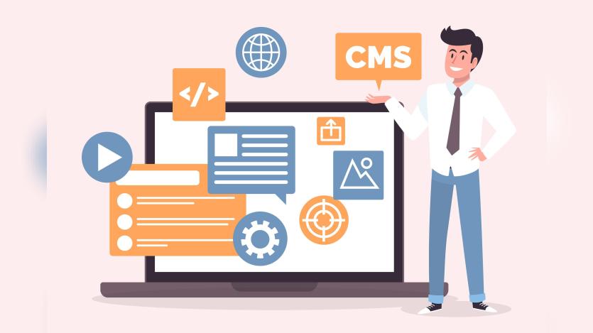 Illustration representing Custom Module Development for a Web CMS