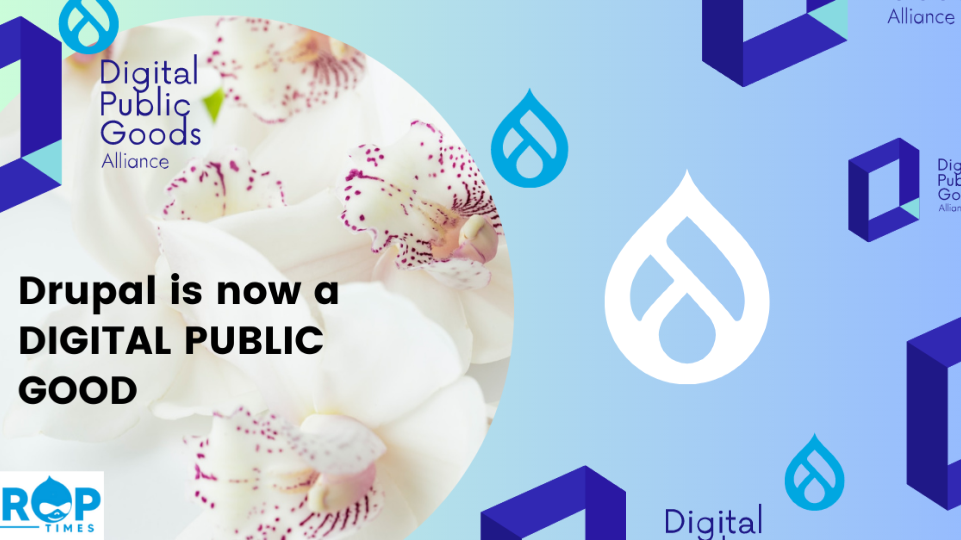 Graphic depicting the announcement of Drupal being designated as a Digital Public Good. A picture of some Orchid flowers and the logos of Drupal and DPG Alliance is used.