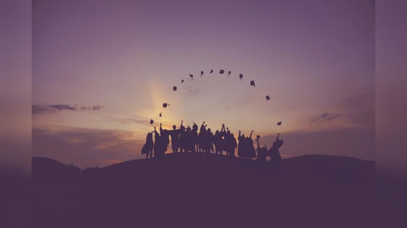 higher education