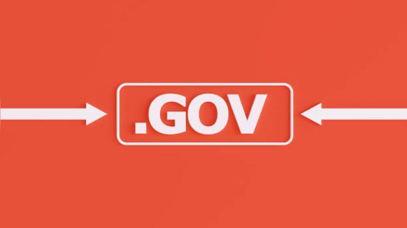 Government