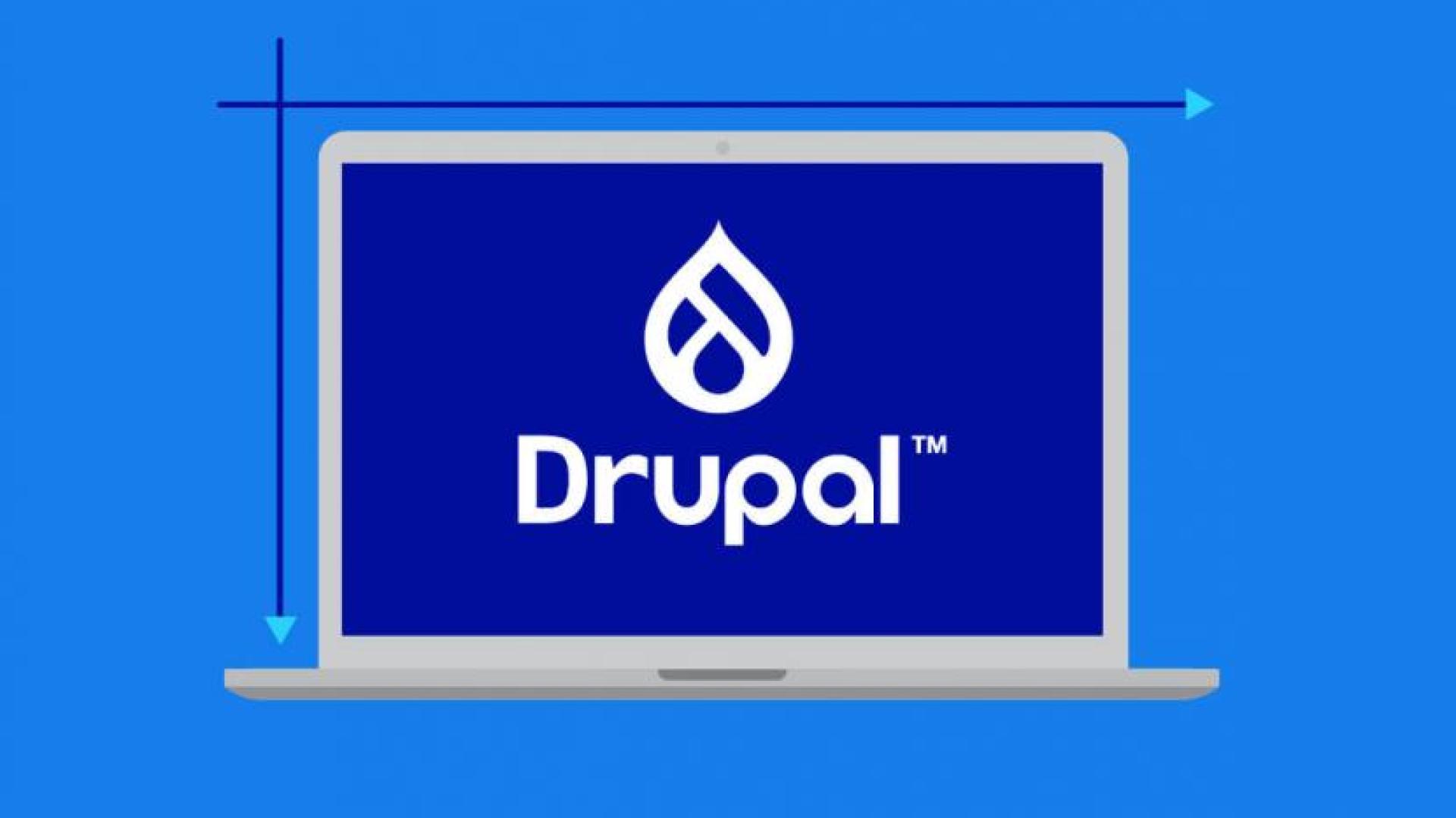 The term Drupal and its logo