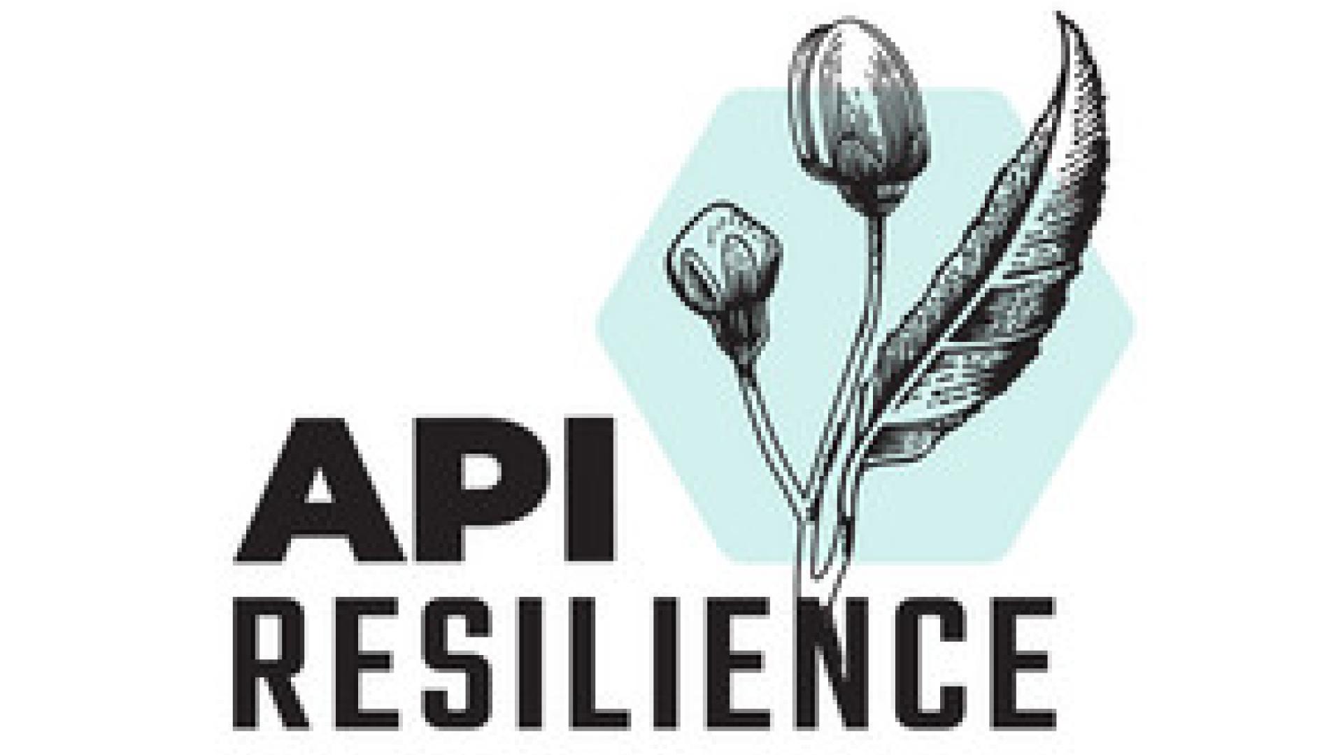 API Resilience