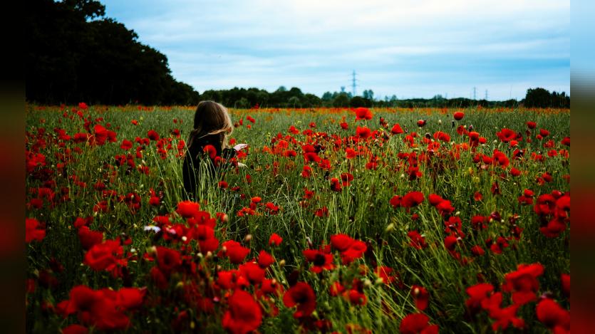 a girl in a poppy field
