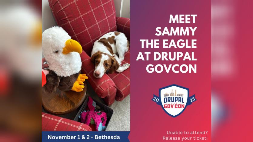Meet Sammy The Eagle