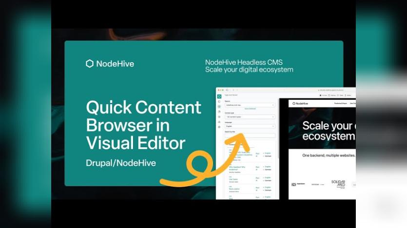 NETNODE AG Introduces Quick Content Browser in NodeHive Visual Editor