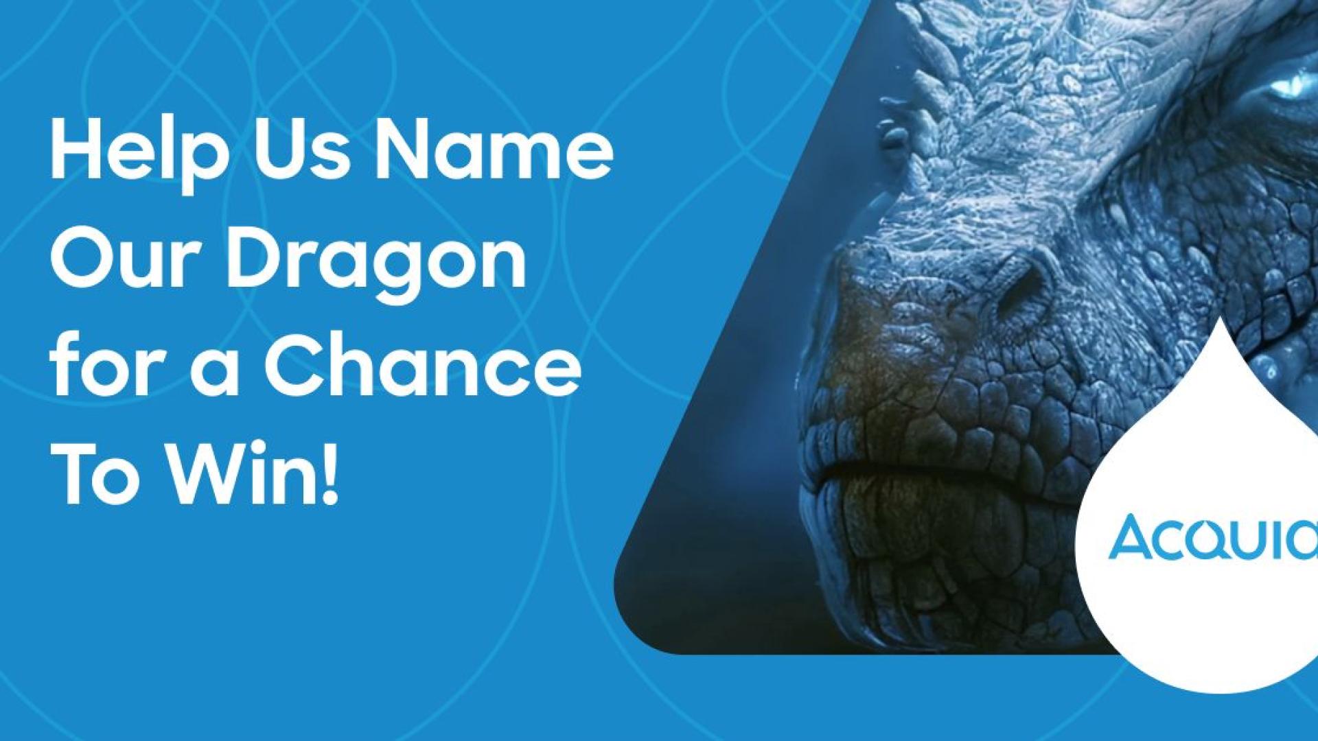 Name the Dragon