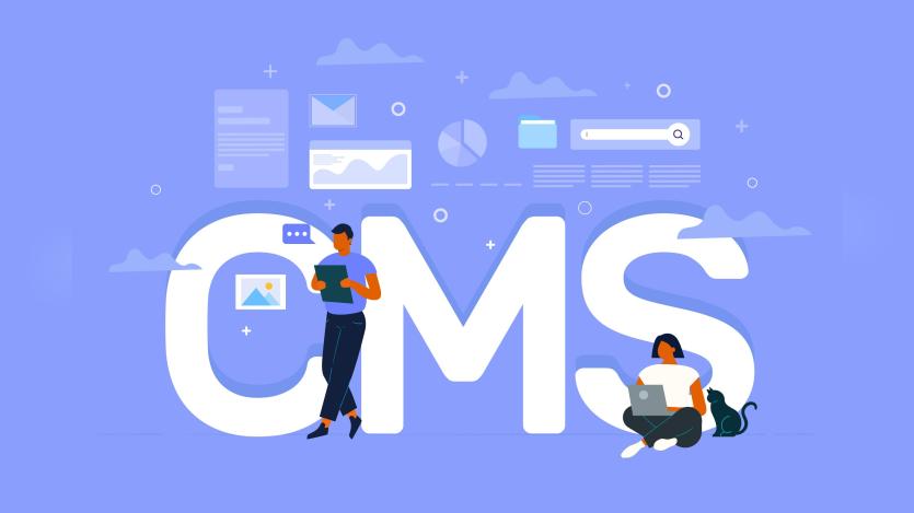 Flat hand drawn cms concept illustrated