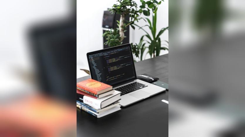 Creating Custom Entity Field Widget Autocomplete in Drupal