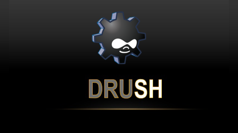 How Drush Enhances Efficiency in Drupal Website Development