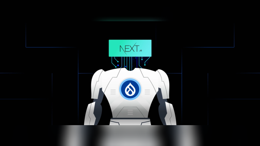 Next js. Headless Illustration