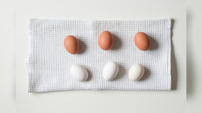 Eggs in two different colors