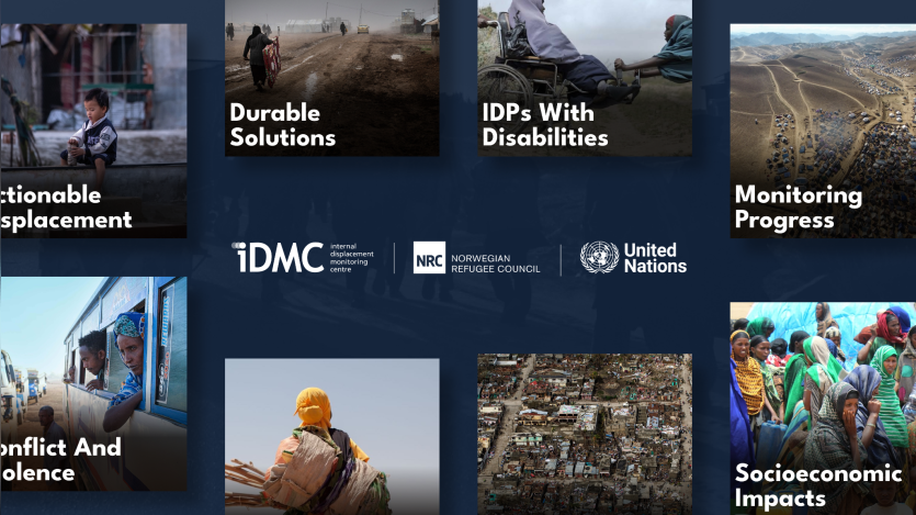 IDMC website