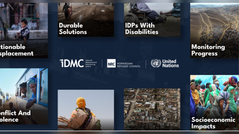 IDMC