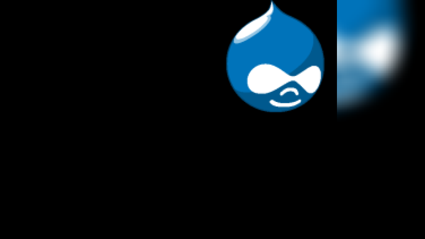 drupalnyc-contribution-day Logo