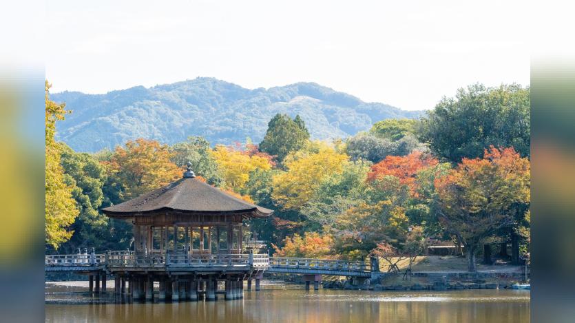 Nara
