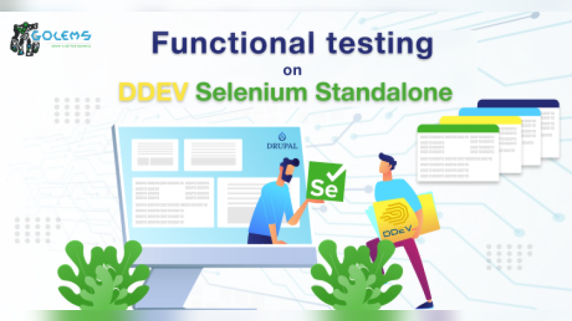 Functional testing on DDEV Selenium Standalone Chrome