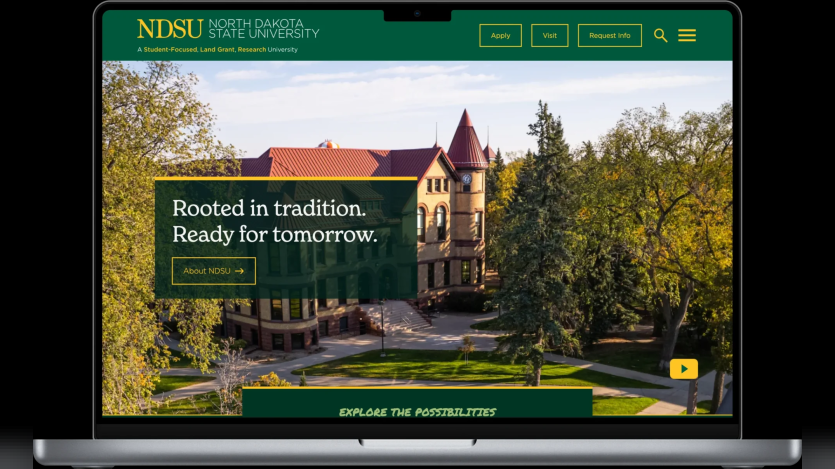 NSDU homepage