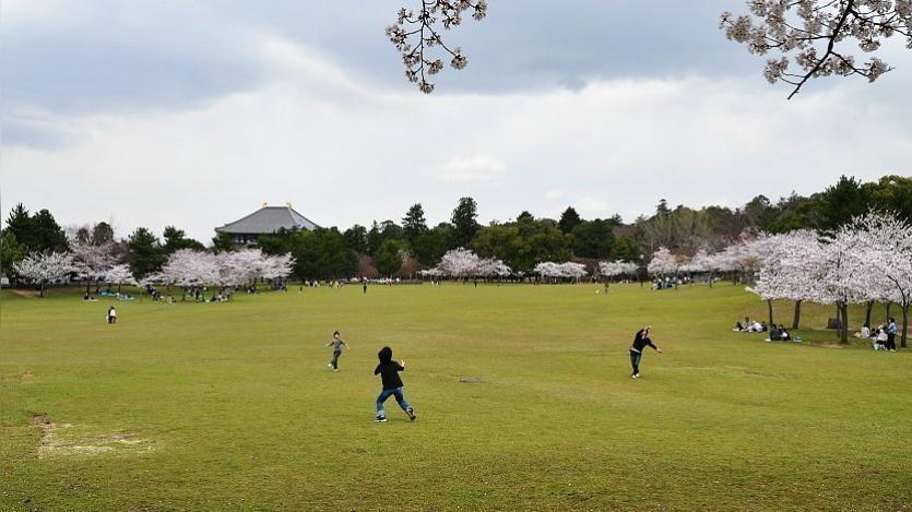 Nara Park