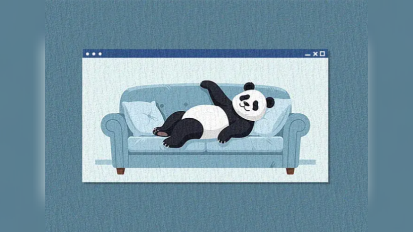 panda sleeping on the couch