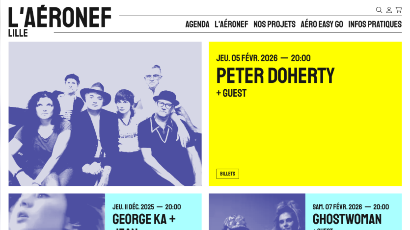 L'Aéronef Lille website showing upcoming events with dates and artists including Peter Doherty, George Ka, and Ghostwoman