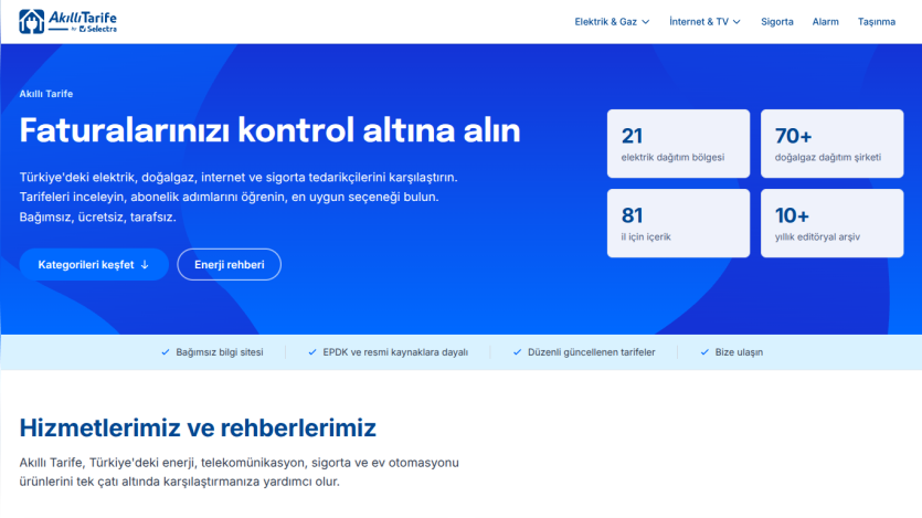 Website offering invoice control services with key statistics and service information.