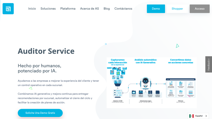 Auditor Service section highlighting AI-powered human expertise with a diagram.