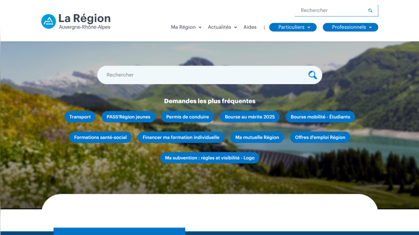 Website header with search bar and navigation links for regional services.
