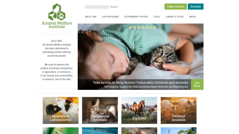 Homepage of Animal Welfare Institute featuring a child with a cat and links to programs.