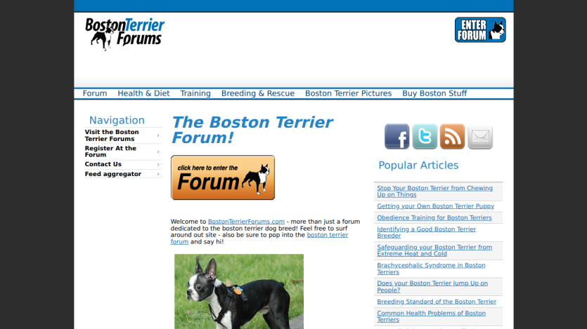 Homepage of the Boston Terrier Forum featuring navigation links and a welcome message.