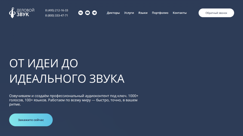 Homepage featuring a microphone and tagline about achieving ideal sound.