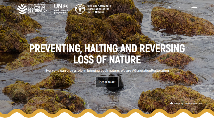 Website promoting nature conservation with a focus on reversing loss of nature.