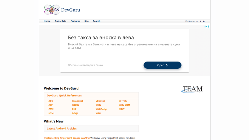devguru.com