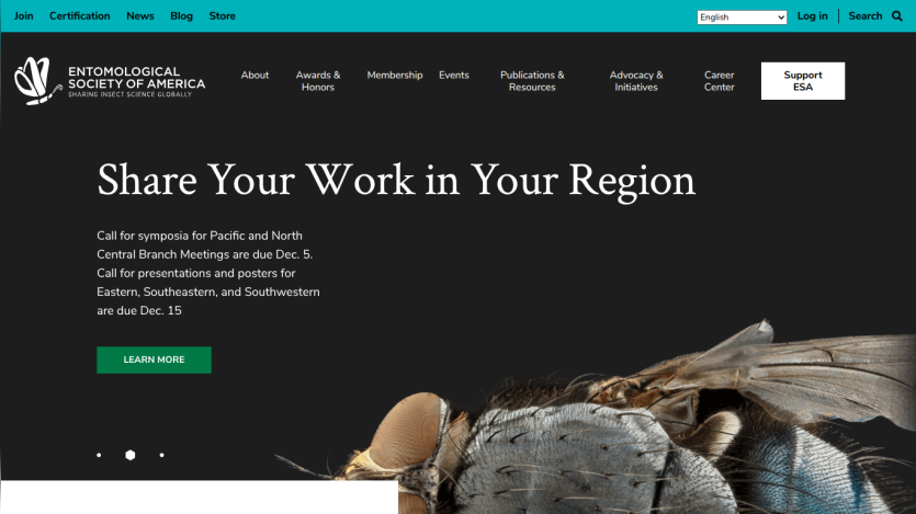 Website homepage promoting regional work sharing with a call-to-action button and a close-up image of a sculpture.
