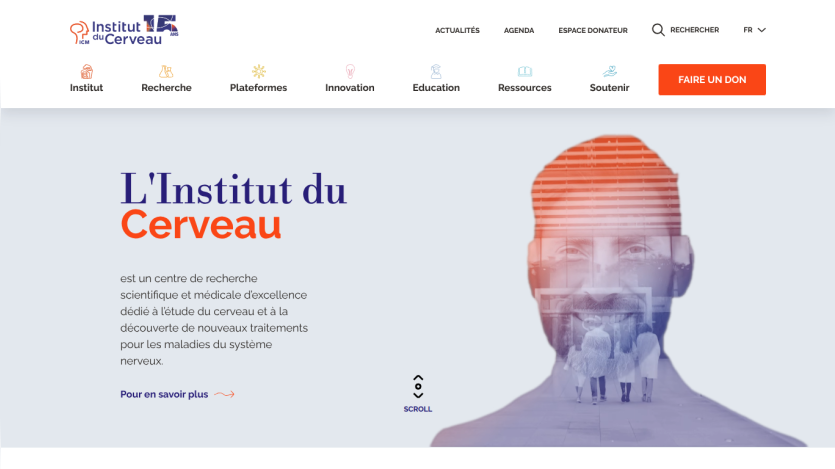 Institut du Cerveau homepage with navigation and hero text about brain research and treatments