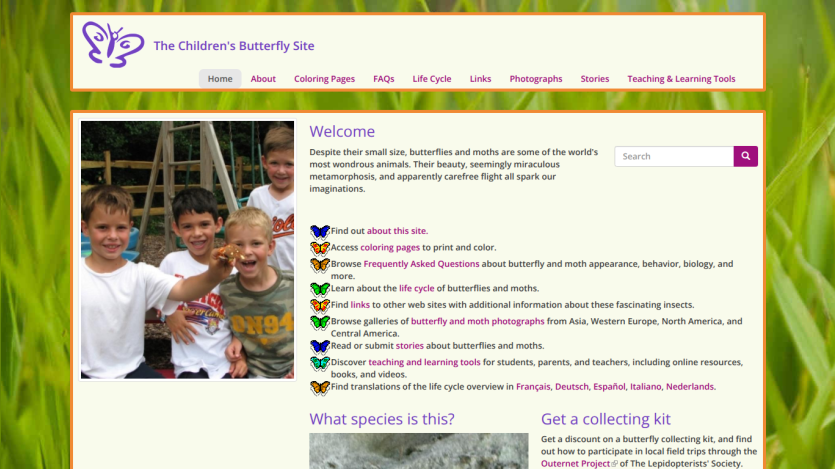 Homepage of The Children's Butterfly Site featuring a boy observing a butterfly in a container.