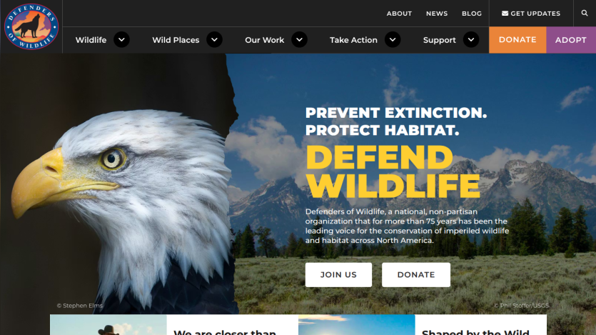 Hero section promoting wildlife conservation with a call to action to join and donate.