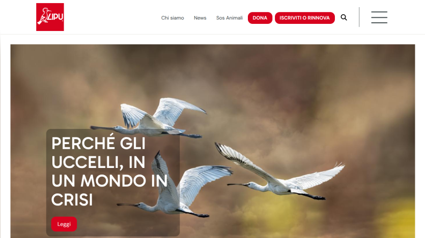 Italian bird conservation site with flying birds and headline about birds in a world in crisis