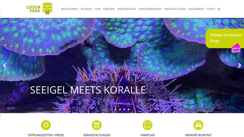 Luisen Park website with navigation menu and hero image featuring sea urchin and coral with text 'SEEIGEL MEETS KORALLE'