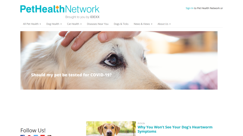 Homepage of Pet Health Network with a dog and a question about COVID-19 testing.