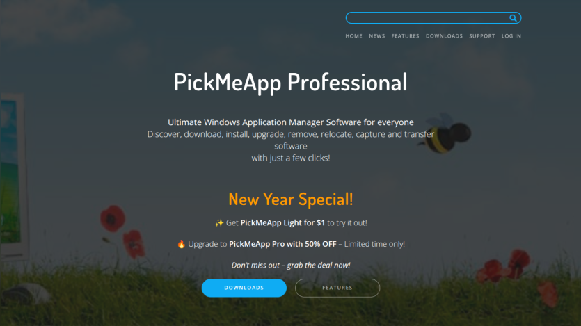 PickMeApp Professional website with a New Year special offer prominently displayed.