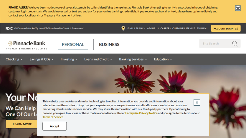 pinnbanktx.com