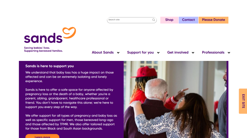 Sands website offering support for pregnancy and baby loss with navigation and donation options