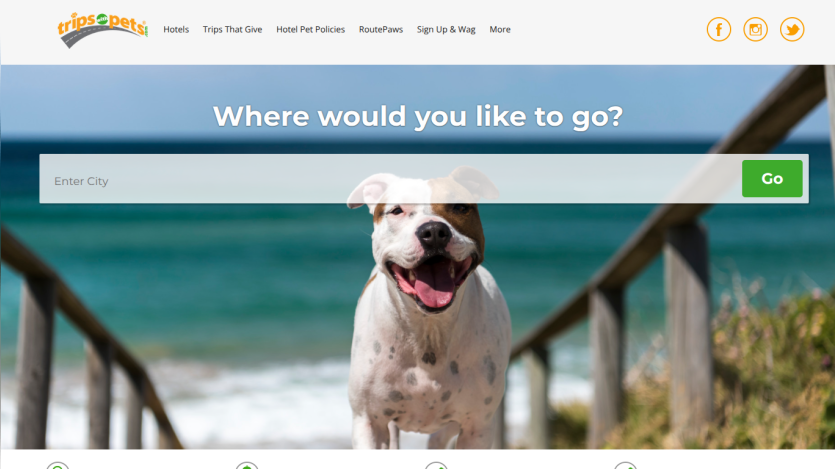 Website homepage with a smiling dog on a beach background and a search bar asking 'Where would you like to go?'