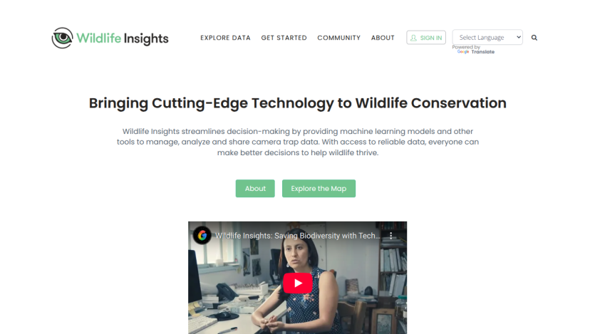 wildlifeinsights.org